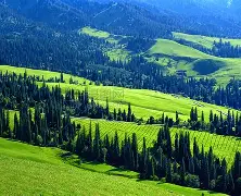 新疆广汇队最新消息 新疆广汇队最新消息